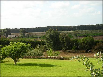 Dar Al Manar Pensión